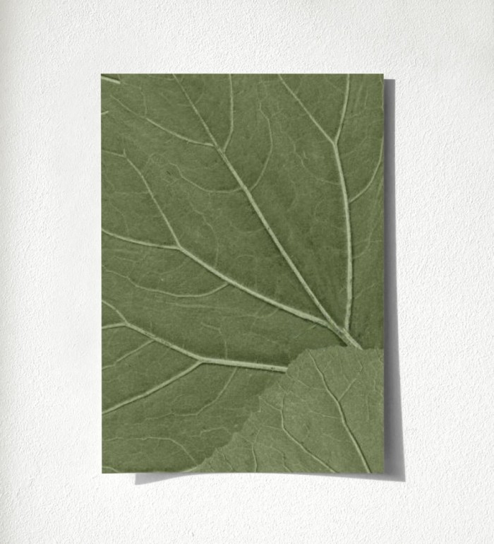 Madagascar Nature 679038