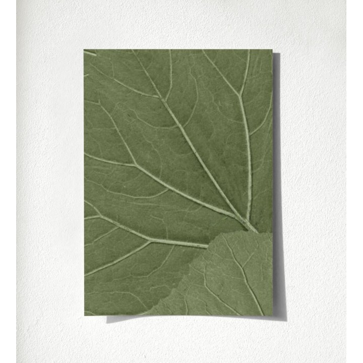 Madagascar Nature 679038