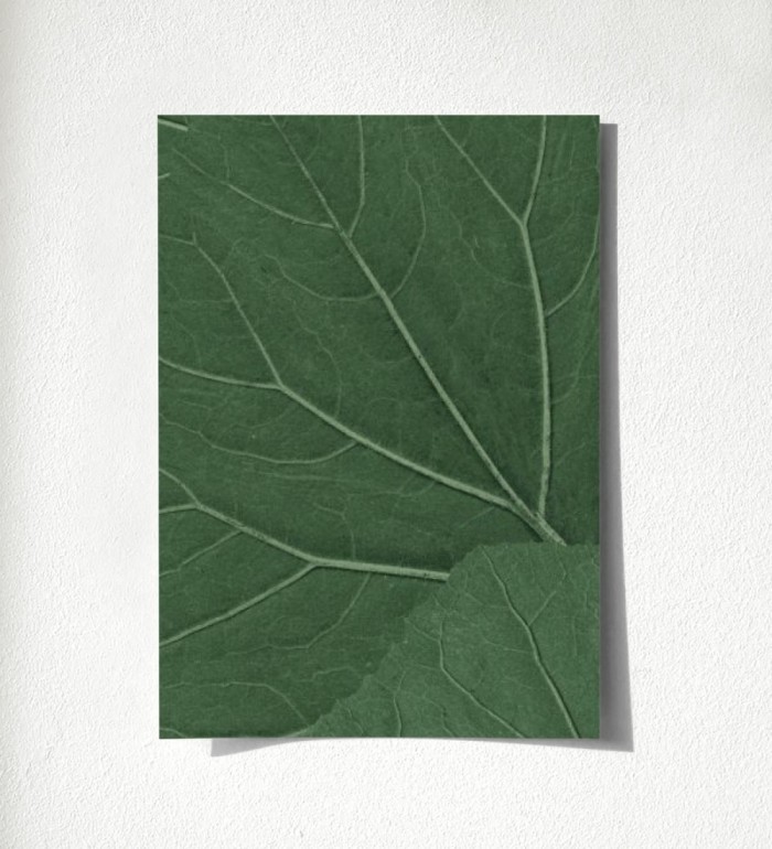 Madagascar Nature 679039