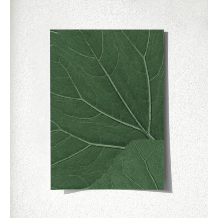 Madagascar Nature 679039