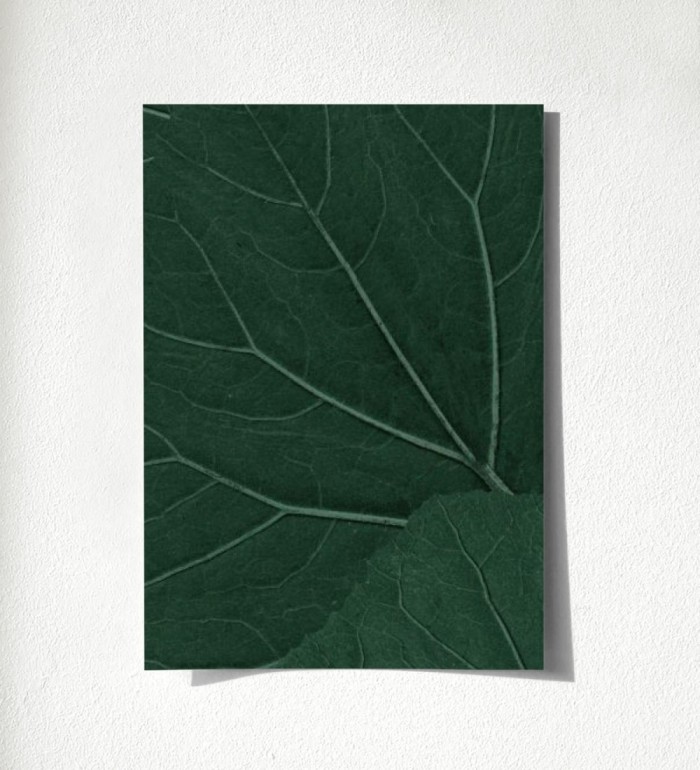 Madagascar Nature 679040