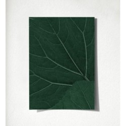 Madagascar Nature 679040