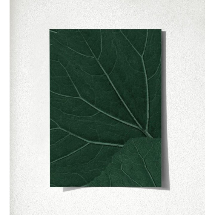 Madagascar Nature 679040