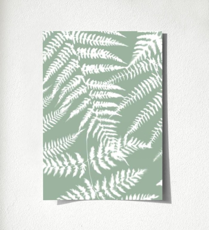 Boreal Forest 679041