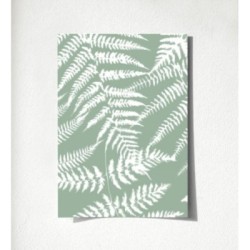 Boreal Forest 679041