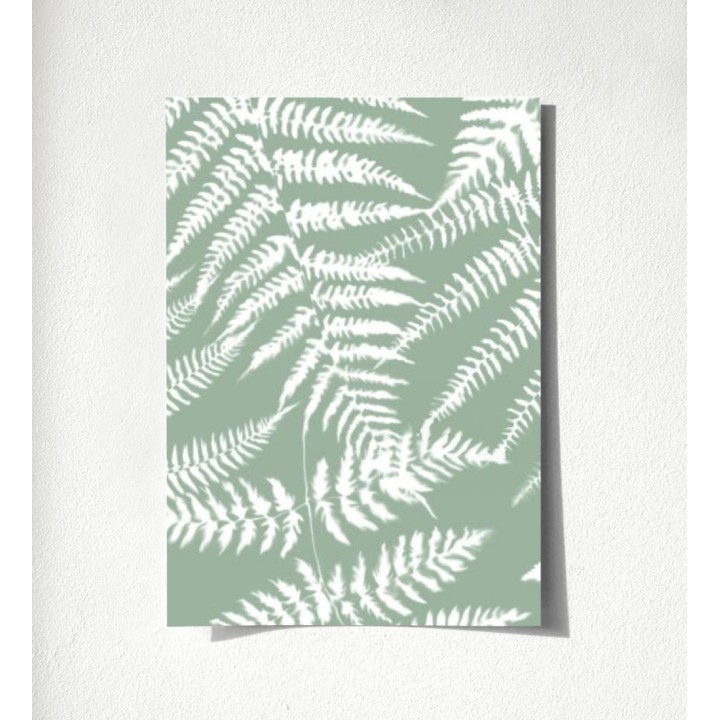 Boreal Forest 679041