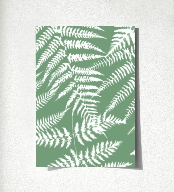 Boreal Forest 679042