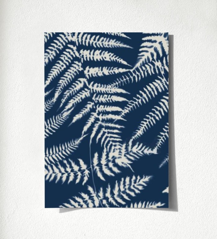 Boreal Forest 679043