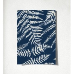 Boreal Forest 679043