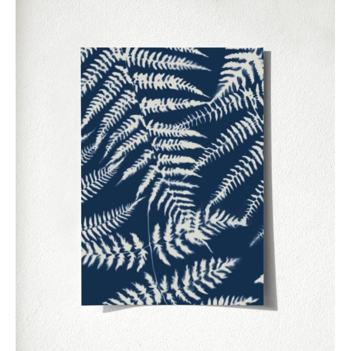 Boreal Forest 679043