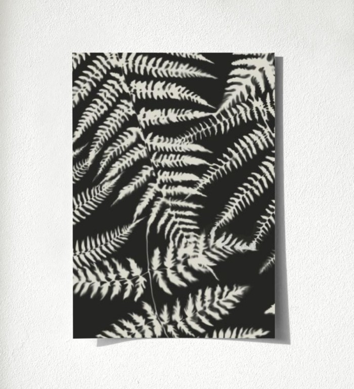 Boreal Forest 679044