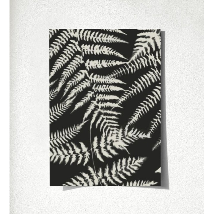 Boreal Forest 679044