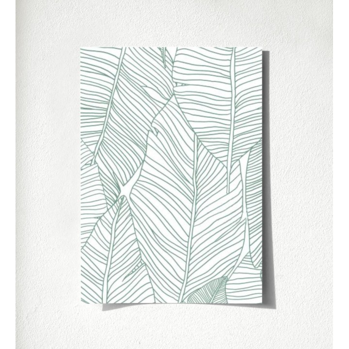 Manila Tropical 679053