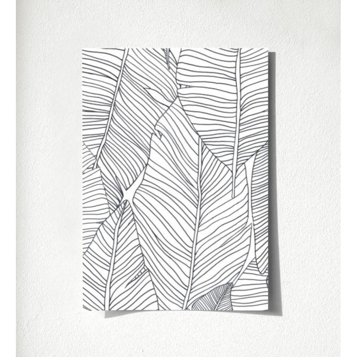 Manila Tropical 679054