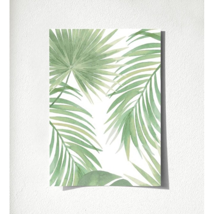 Bahamas Island 679055