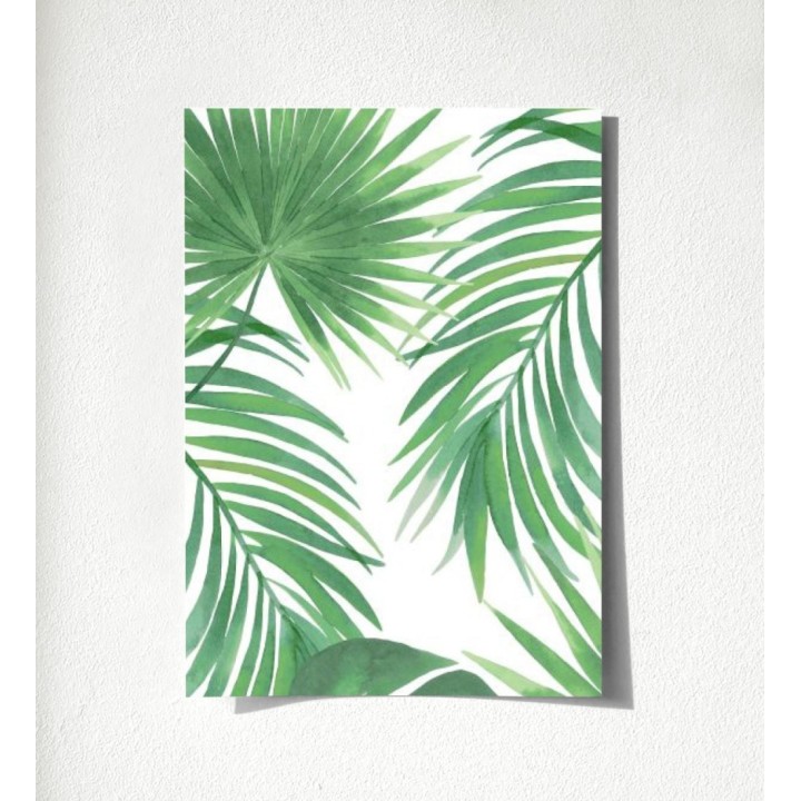 Bahamas Island 679056