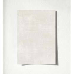 Vanila Texture 679060