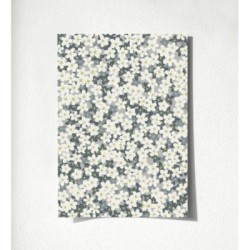 Summer Flowers 679565