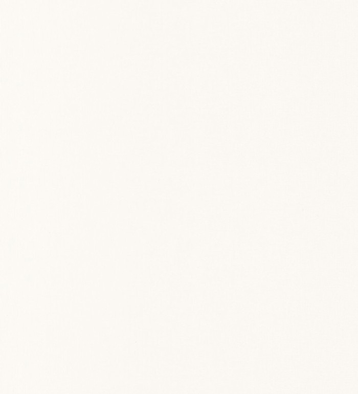 Papel pintado liso texturizado blanco - Atelier Texture 126921