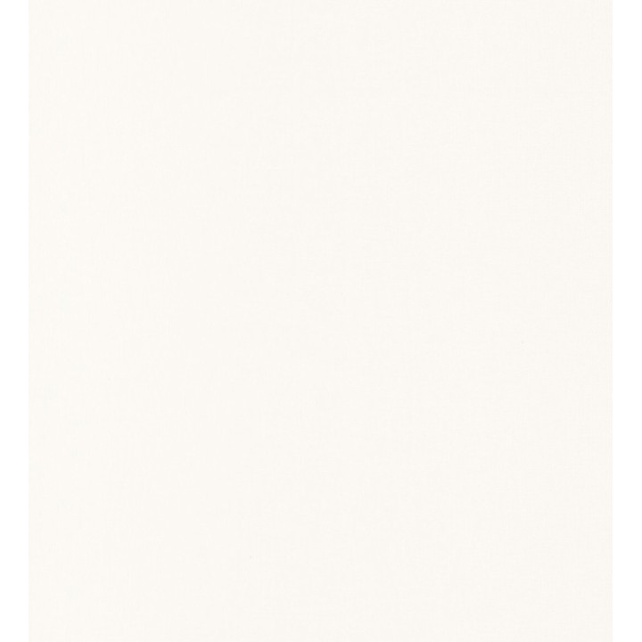 Papel pintado liso texturizado blanco - Atelier Texture 126921