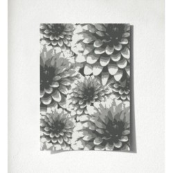 Morris Flowers 680661