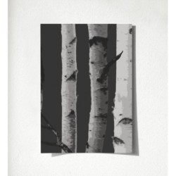 Nordic Forest 680892