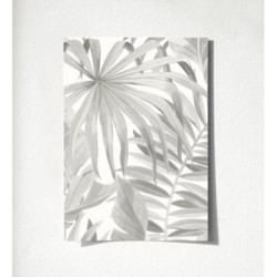 Maldivas Tropical 680937