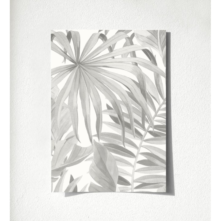 Maldivas Tropical 680937