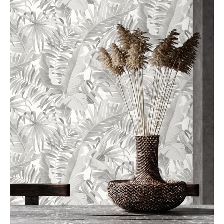 Maldivas Tropical 680937