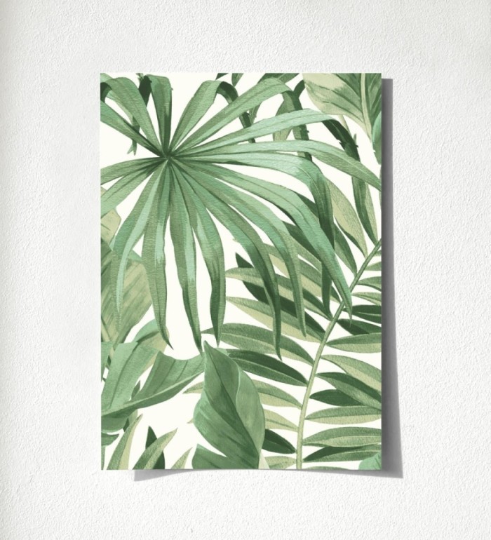 Maldivas Tropical 680938