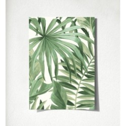 Maldivas Tropical 680938