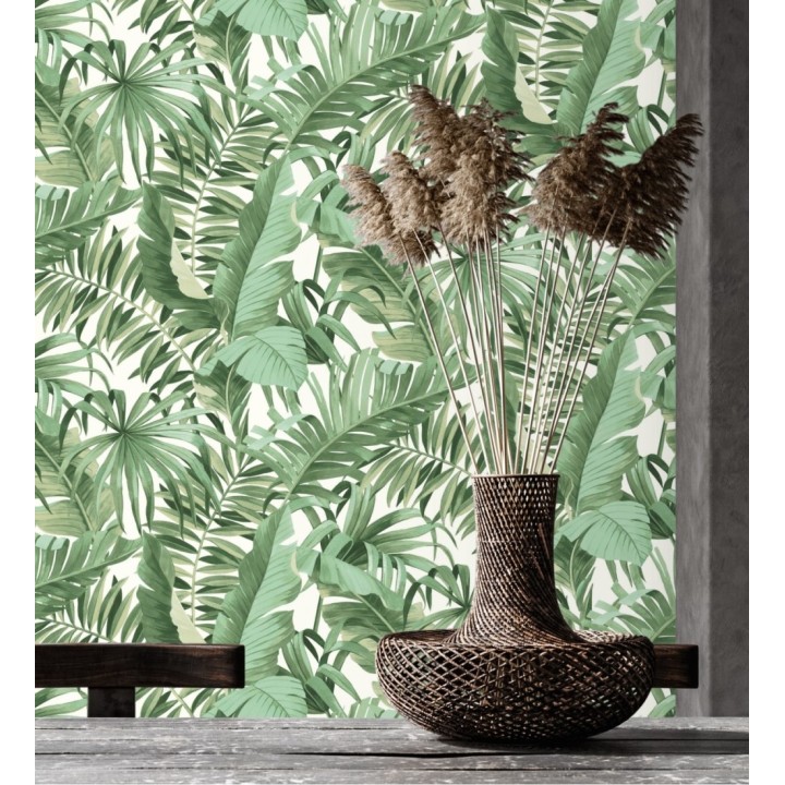 Maldivas Tropical 680938