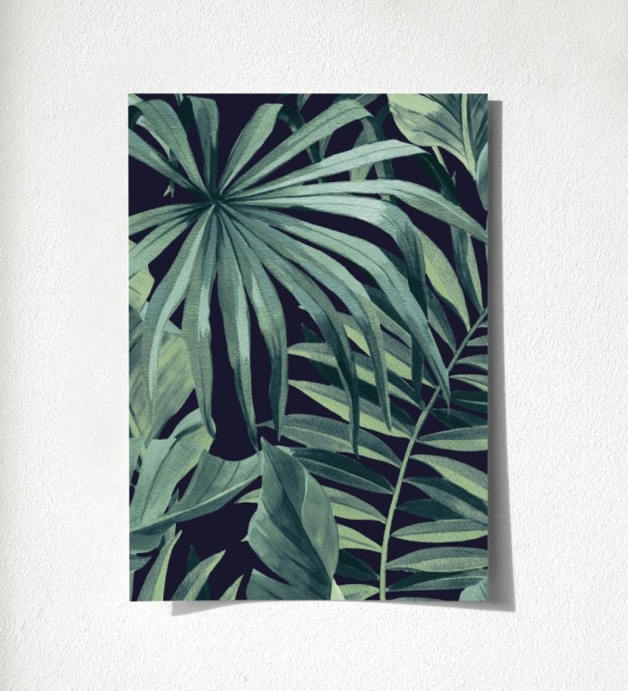 Maldivas Tropical 680939