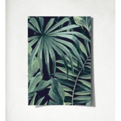 Maldivas Tropical 680939