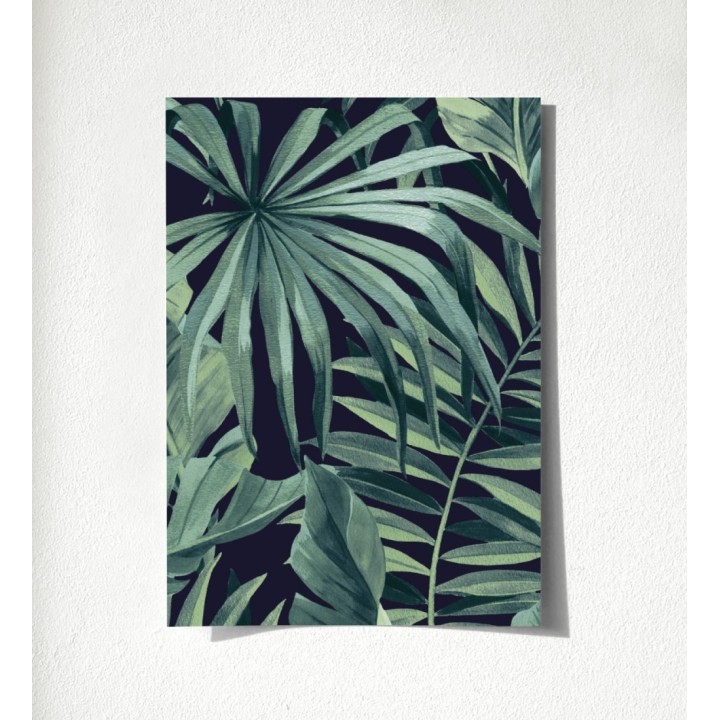 Maldivas Tropical 680939