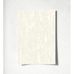 Hermitage Texture 681129