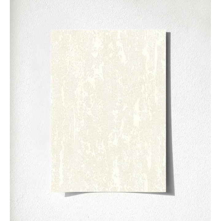 Hermitage Texture 681129