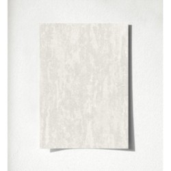 Hermitage Texture 681131