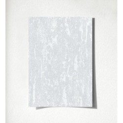 Hermitage Texture 681132