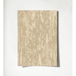 Hermitage Texture 681133