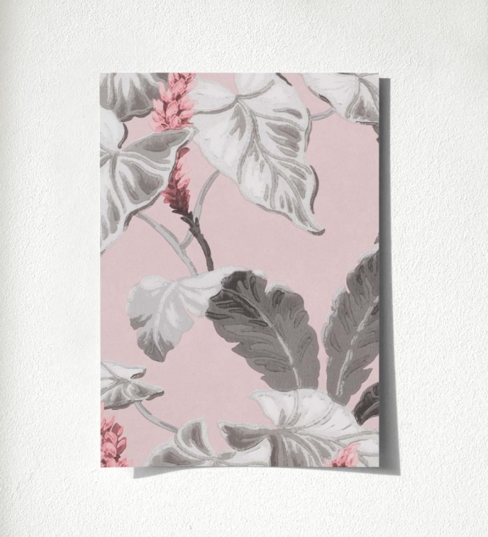 Lady Magnolias 681229