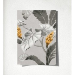 Lady Magnolias 681230