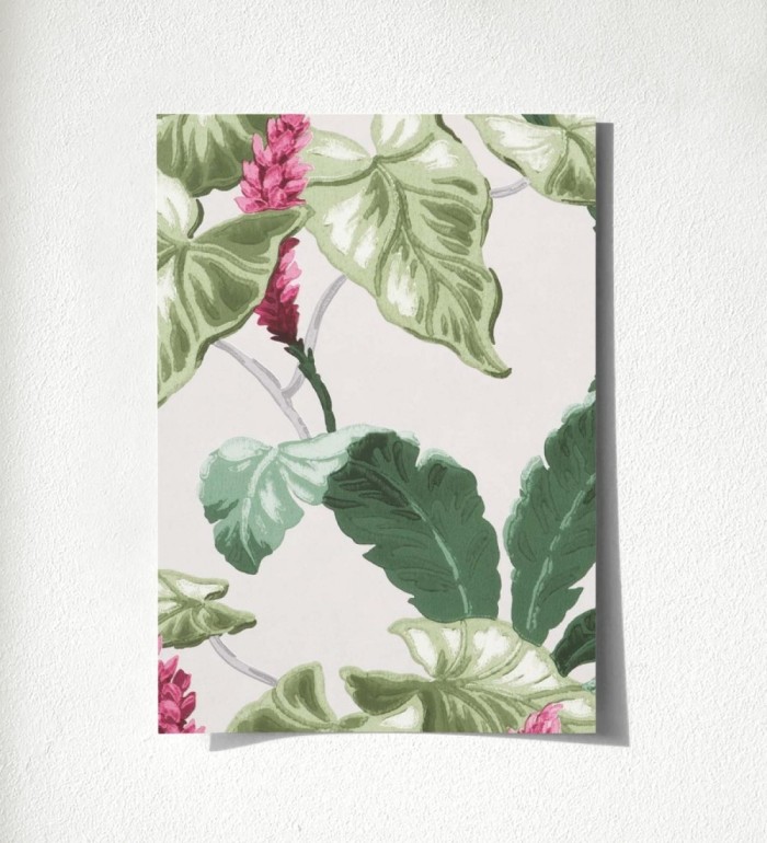 Lady Magnolias 681231