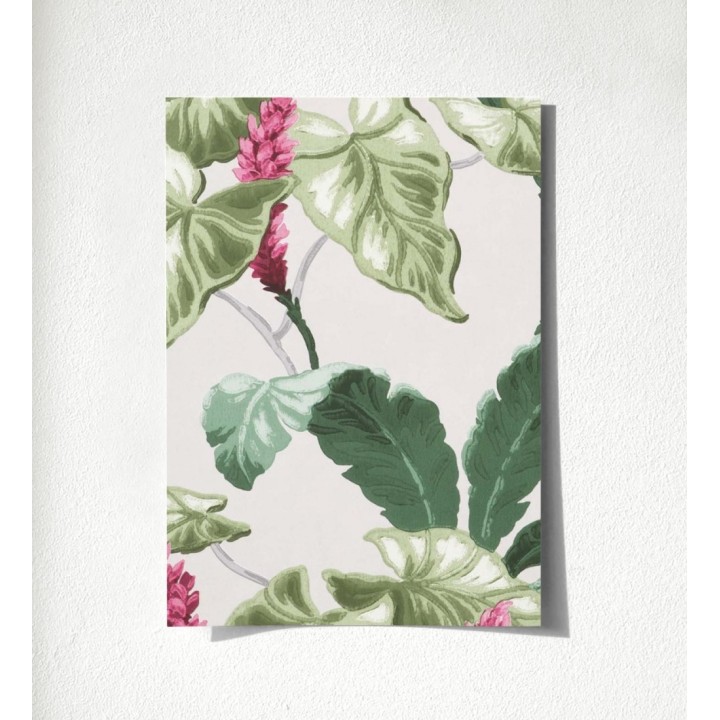 Lady Magnolias 681231