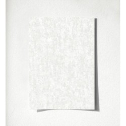 Allure Texture 681635