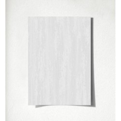 Bissen Texture 681669