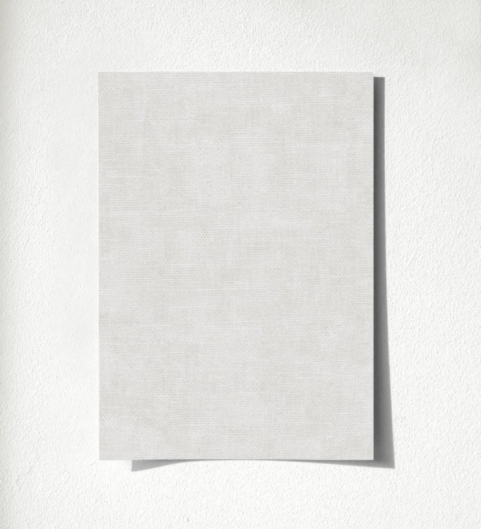 Adamo texture 500682401