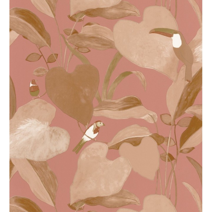 Papel pintado tucán y colibrís sobre hojas - Papúa 127016