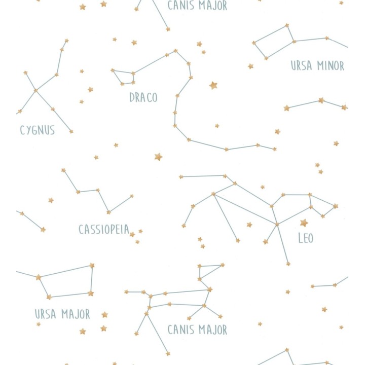 Papel pintado mapa de las constelaciones - Astronomy 127043