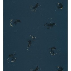 Papel pintado Mizumi Fish 127081